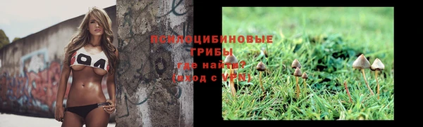 a pvp Куйбышев