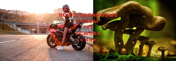 mdma Вязьма