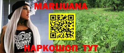 a pvp Будённовск
