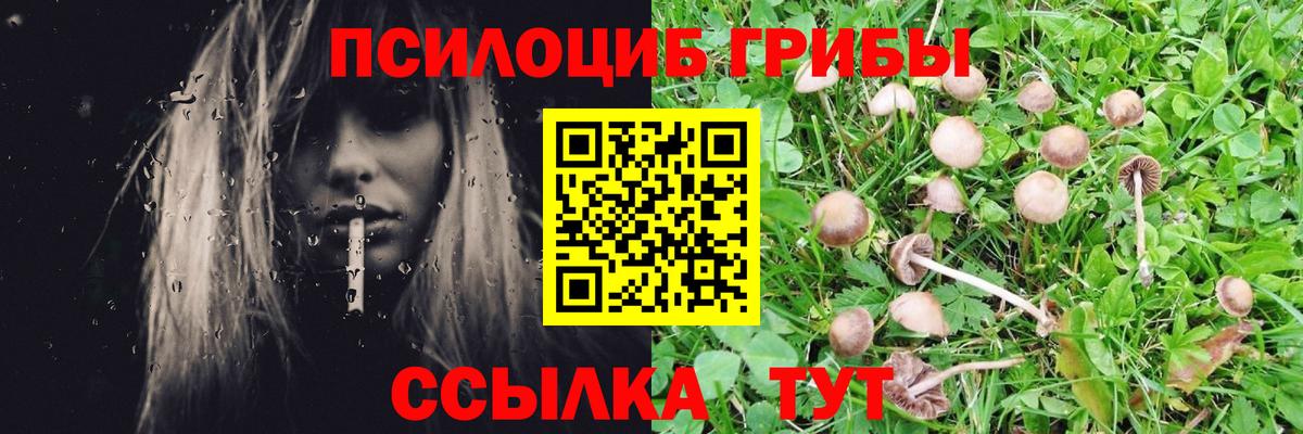купить закладку  Вход с VPN  Джанкой  Галлюциногенные грибы GOLDEN TEACHER 
