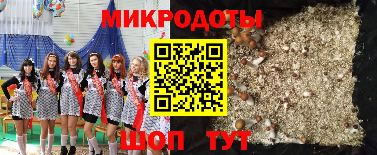 Галлюциногенные грибы GOLDEN TEACHER Джанкой